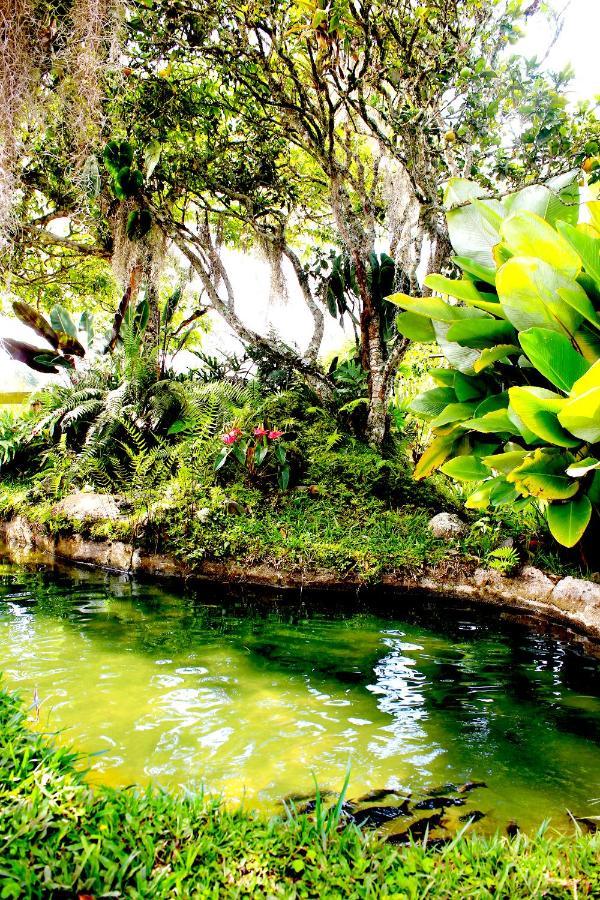 Casa Laureles Filandia Exterior foto