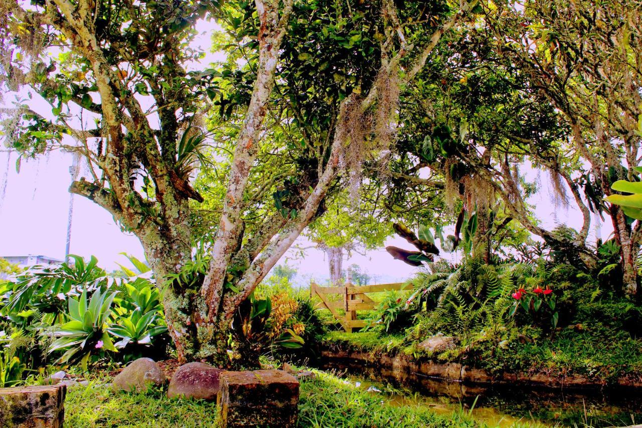 Casa Laureles Filandia Exterior foto